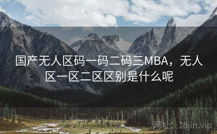 国产无人区码一码二码三MBA，无人区一区二区区别是什么呢