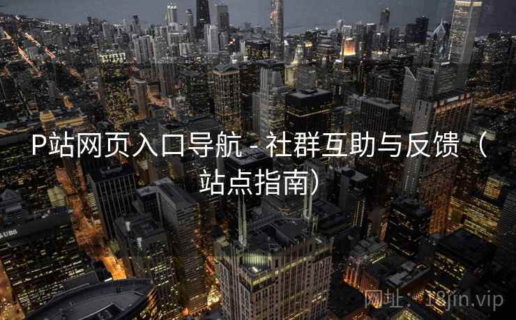 P站网页入口导航 - 社群互助与反馈（站点指南）